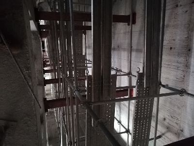 Resilience Institute